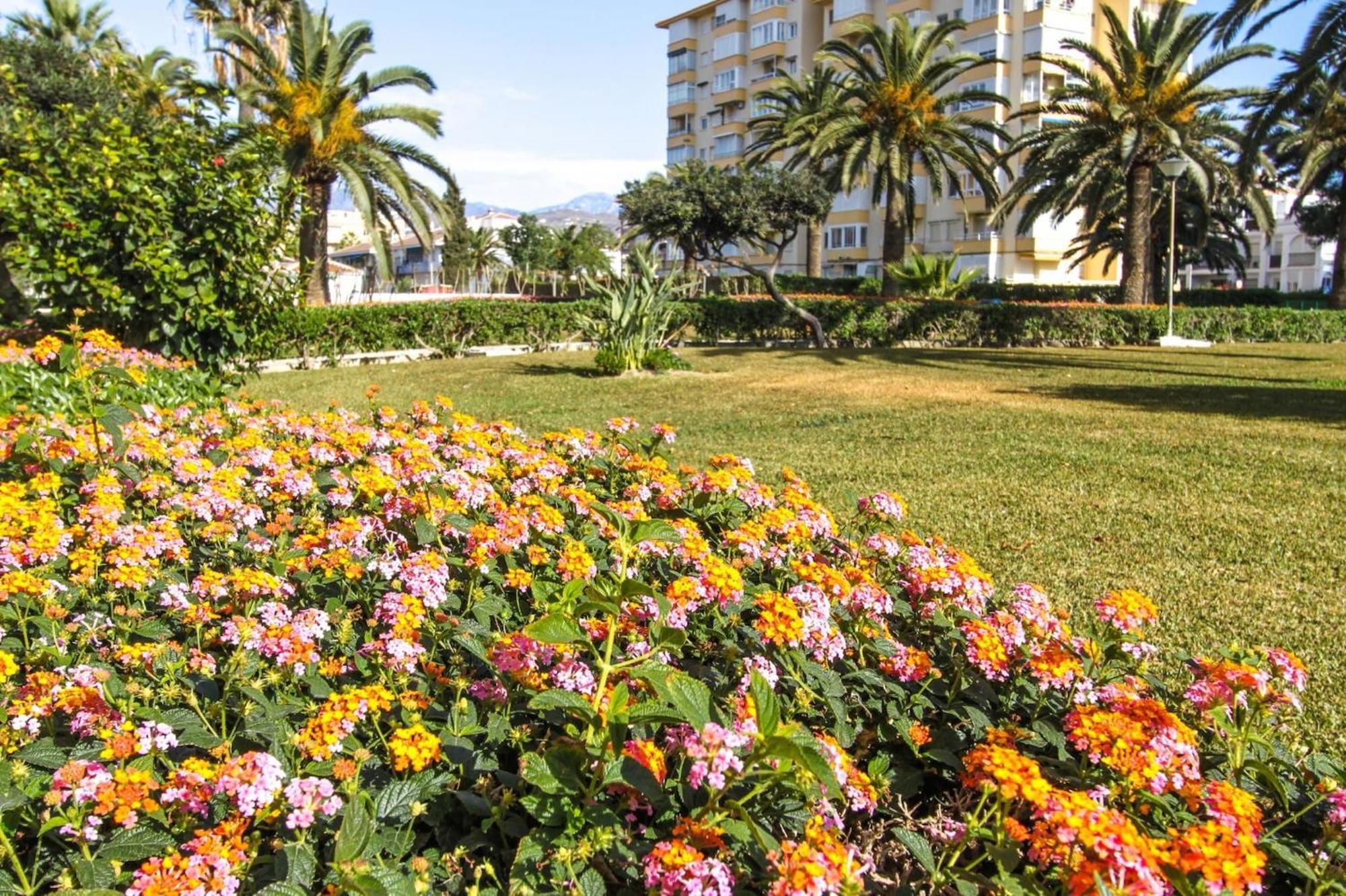 Apartamento Valencia At Home 托罗克斯科斯塔 外观 照片